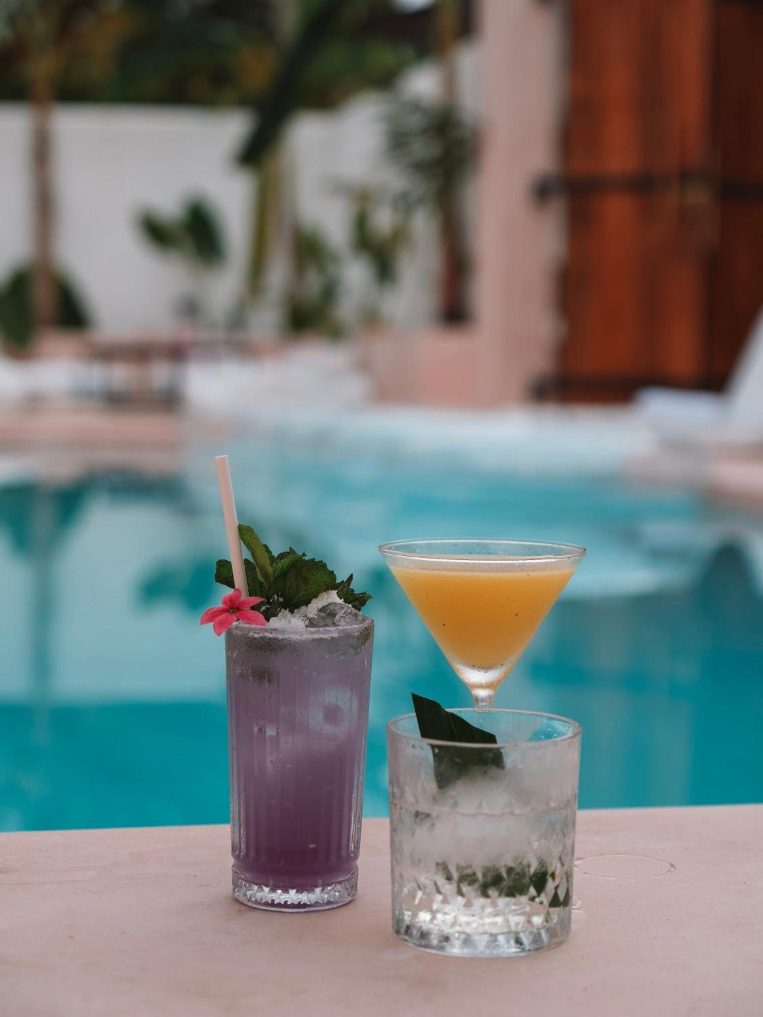 Animals Hotel Ahangama Ngoại thất bức ảnh